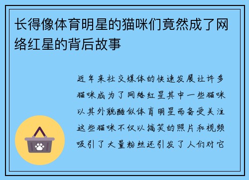 长得像体育明星的猫咪们竟然成了网络红星的背后故事